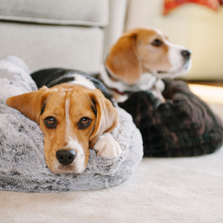 Snuggle Bed